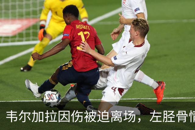 韦尔加拉因伤被迫离场，左胫骨情况亟待关注